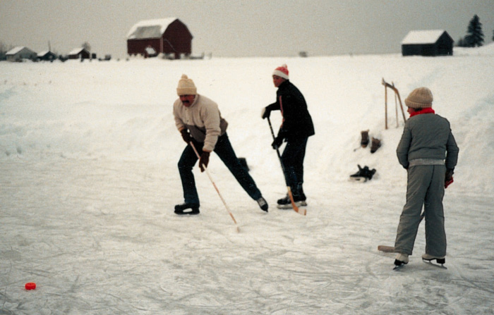 Skating