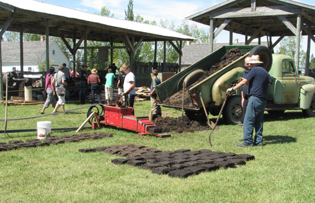 Manure brick press