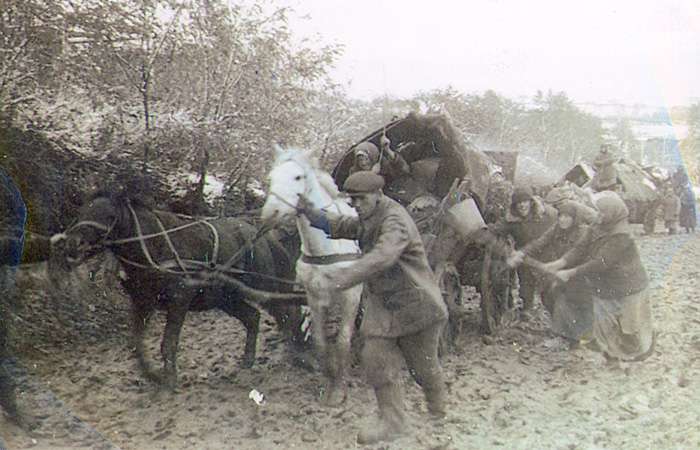 Mennonite refugees