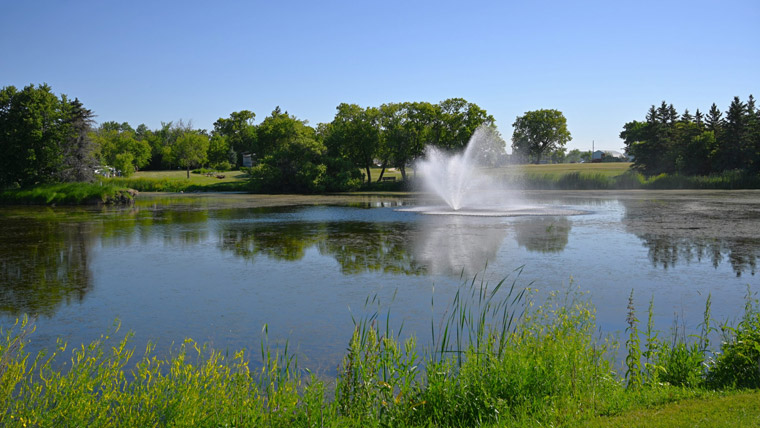 Pond