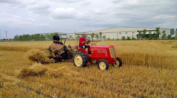 Cutting oats