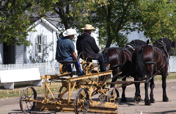 Fall on the Farm