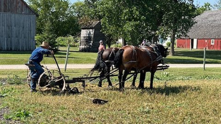 Mennonite settlers