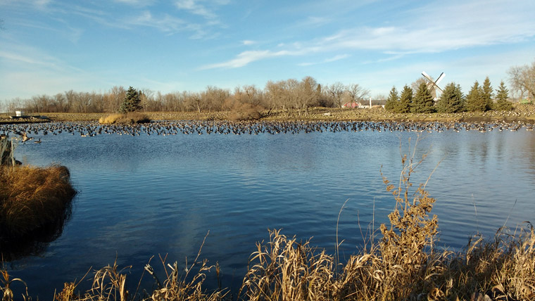Mennonite Heritage Village