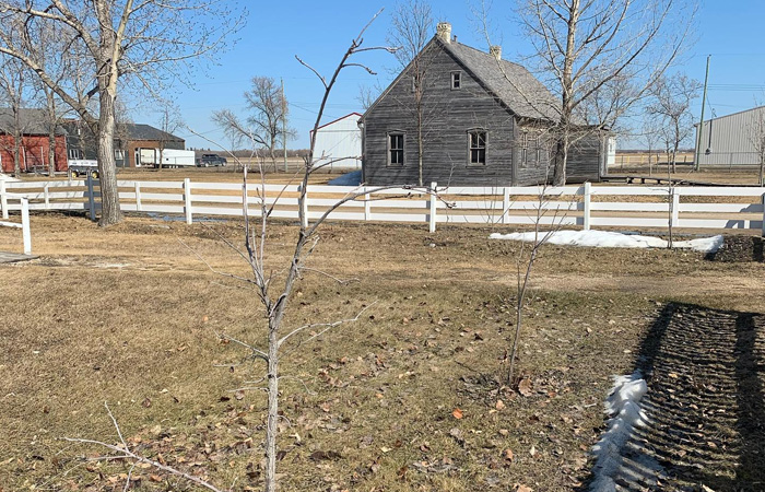 Mennonite Heritage Village