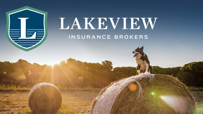 Lakeview Insurance Brokers - Ste. Anne