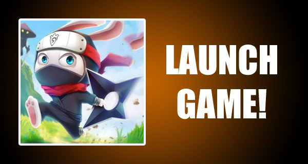 Ninja Rabbit - Jogo Grátis Online