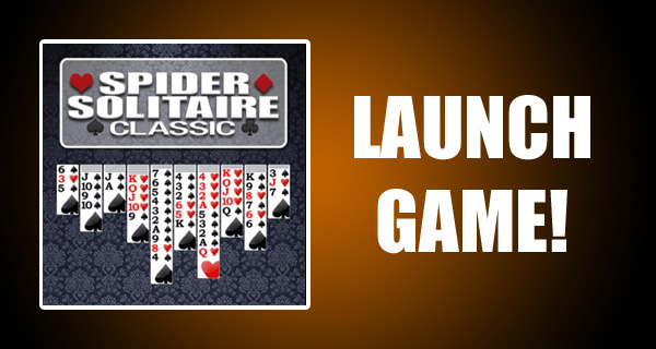 Spider Solitaire: Online Card Games King  Online card games, Spider  solitaire, Solitaire card game