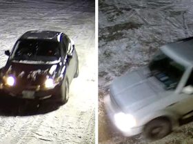 Suspect vehicles