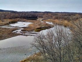 Manitoba basins