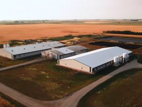 Barns