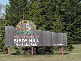 Birds Hill Provincial Park