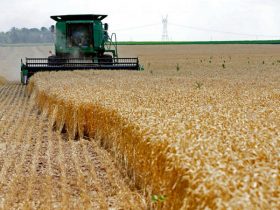 Farming