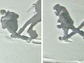 Suspects