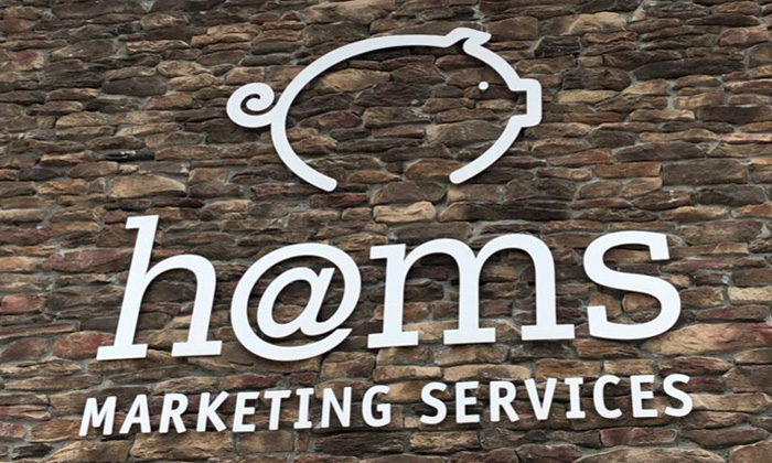 HAMS Marketing Services