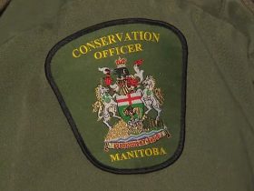 Conservation Officer