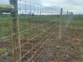 Fence