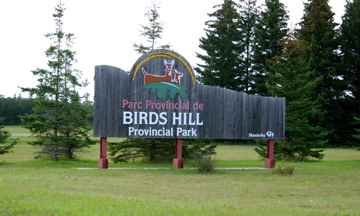 Birds Hill Park