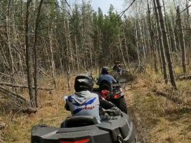 Off-road vehicles