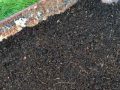 Compost
