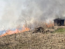 Wildfire