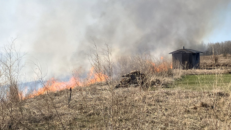 Wildfire