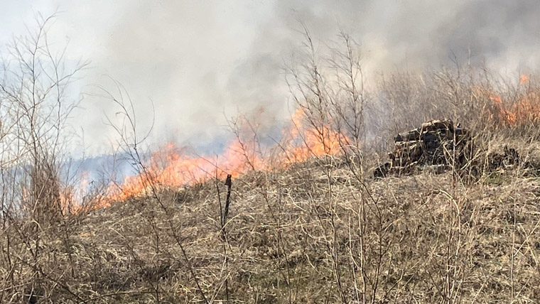 Wildfire
