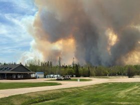 Wildfire