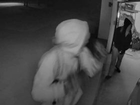 Suspects
