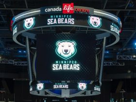 Winnipeg Sea Bears