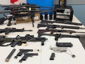 Firearms