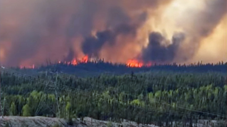 Wildfire