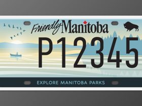 Licence plate