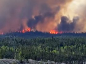 Wildfire