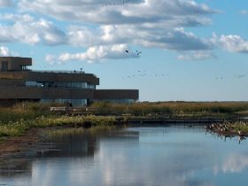 Oak Hammock Marsh