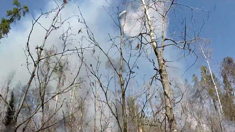 Wildfire