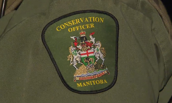 Conservation Officer