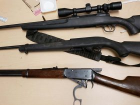 Firearms