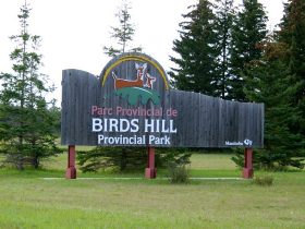 Birds Hill Provincial Park