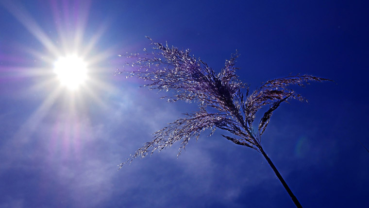 Sun