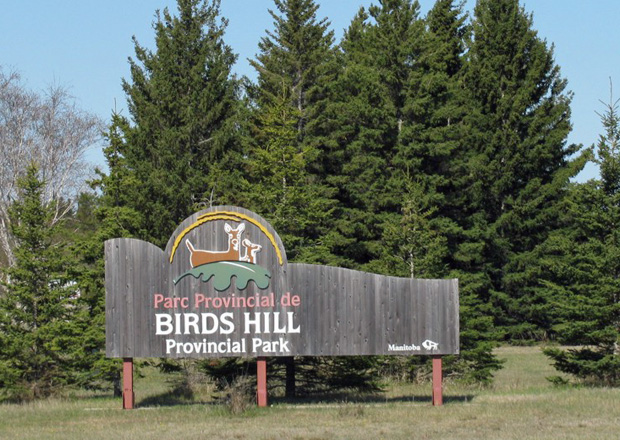 Birds Hill Provincial Park