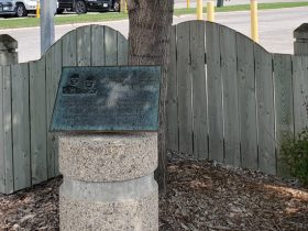 Plaque