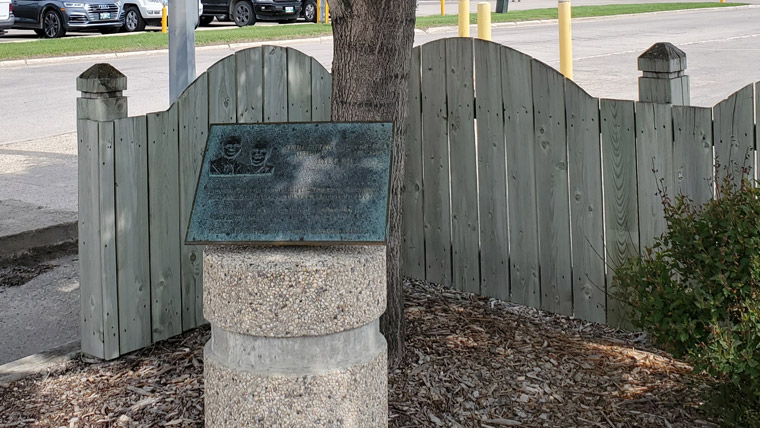 Plaque