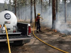 Fire skid