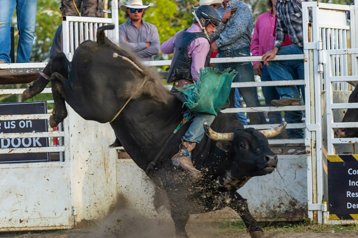 Bull Riding