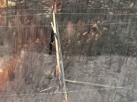 Fire damage