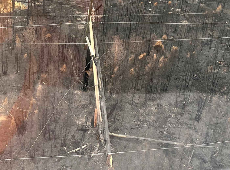 Fire damage