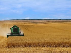 Harvest