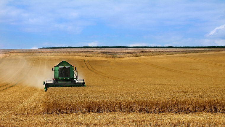 Harvest