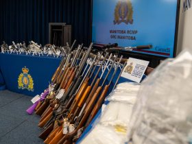Firearms